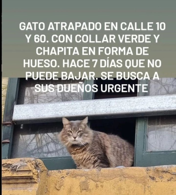Maanolett's tweet photo. ⚠️La plata ⚠️ https://t.co/HdQMAv39z1