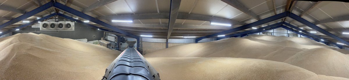 Dat de tarwe oogst los gebarsten is zijn wij inmiddels achter! ☀️ Afgelopen dagen vele vrachtwagens gelost. De eerste 3.200 ton ligt binnen. Laat de rest maar komen! Gezusters Fokkema redden zich er mee 🤩🌾 <a href="/parsgranen/">Parsgranen</a>