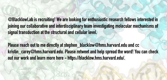 BlacklowLab (@blacklowlab) on Twitter photo 