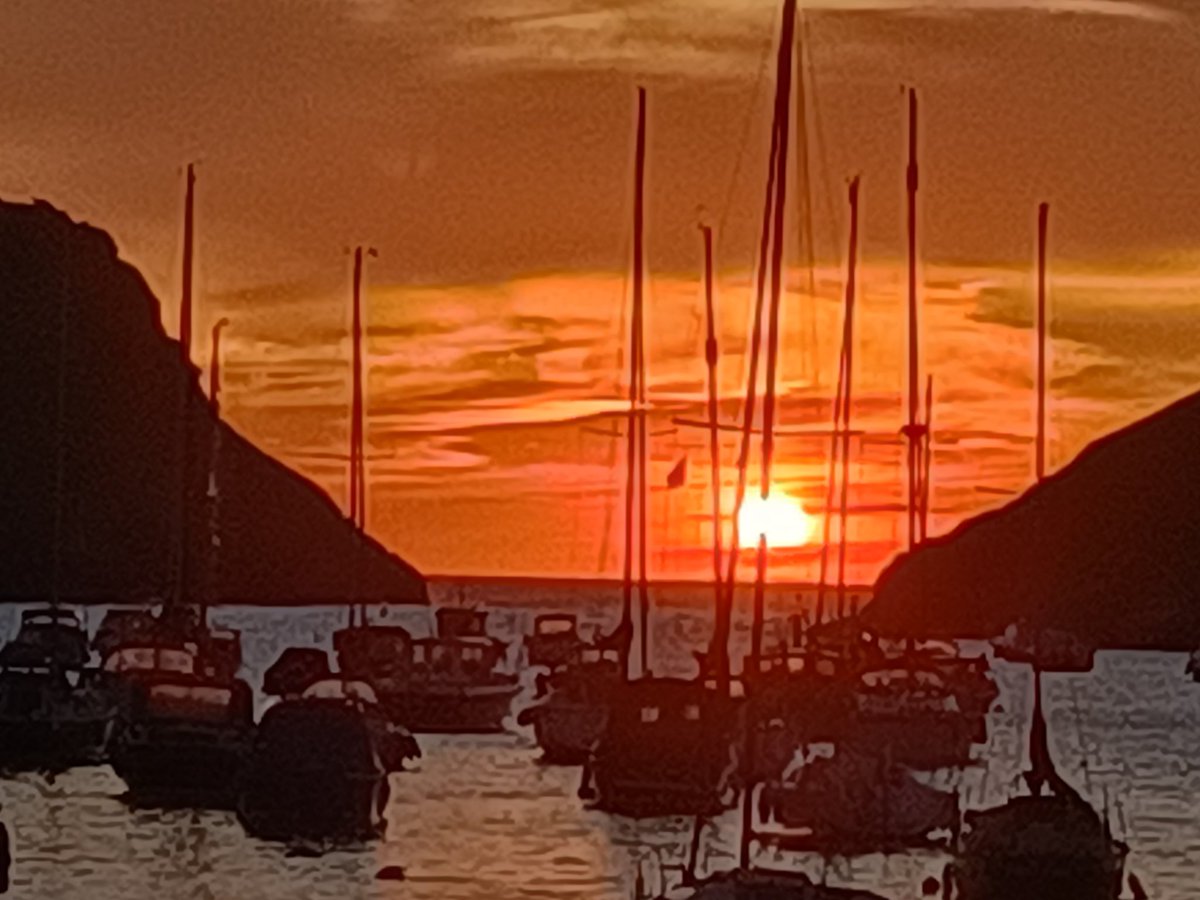 Blue__Bert's tweet photo. Just back from walking my four leggers, and what a beautiful evening it is. Perfect. But not quite as perfect as last week's walks 😩 #Berrynarbor https://t.co/51R2vATXnV