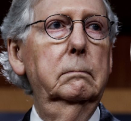 ELIJAH SCHAFFER on Twitter: "How is this a real person? https://t.co