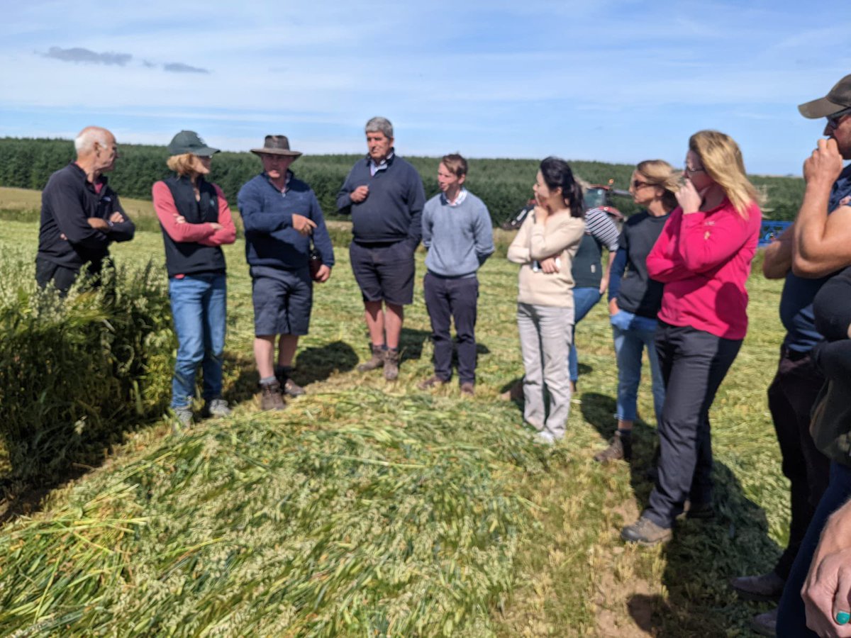 windshielfarm's tweet photo. Fantastic weather yesterday for hosting the first meeting of the FAC Grazing Group ☀️ 🌱 
The farm tour gave the group a chance to see our forage rye, rotational grazing structure, winter forage and wholecrop (currently being mowed!) 🚜 🐑 🌱 
finished off with a BBQ #organicfarm https://t.co/mzcri8mnQE