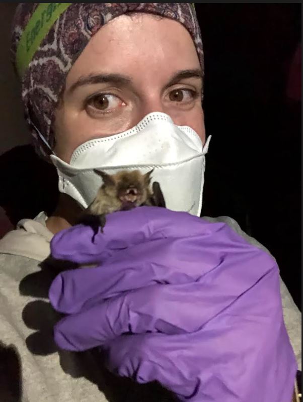 CSU_FWCB's tweet photo. Hard at work at the FWCB Stoner lab in the Big Hatchet Mountains, southwest New Mexico with Dr. Kathryn Stoner and PhD student Mallory Davies. #bats https://t.co/Ci5At3vrQd
