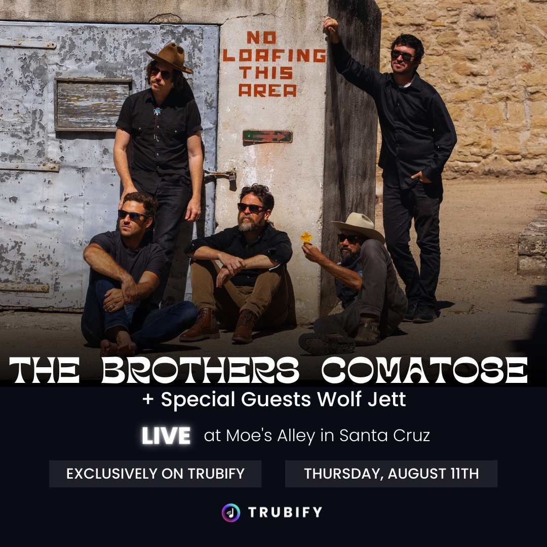 Brothers Comatose tweet media