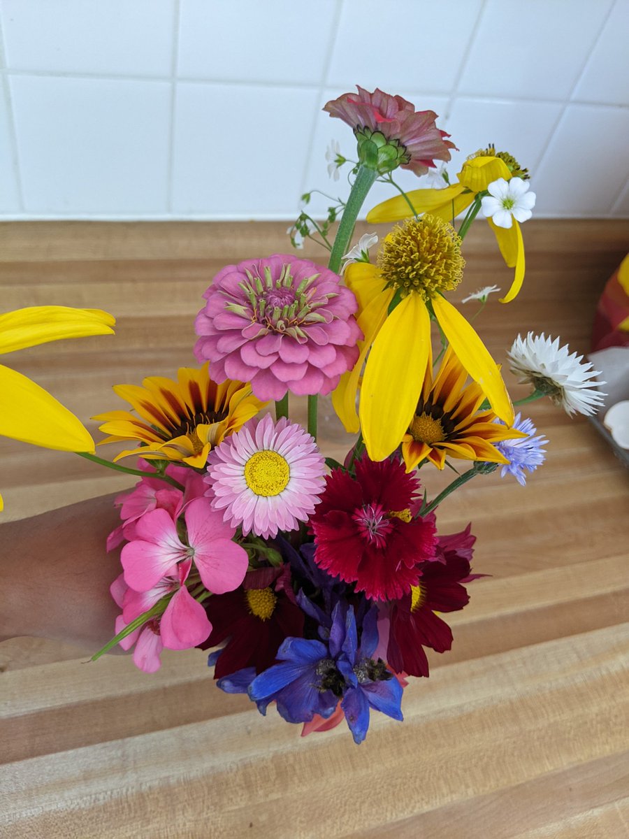 milgrathea's tweet photo. I made a small bouquet from some flowers that finally made an appearance in the garden =]

Have a lovely day, friends! https://t.co/uRbkOmHerS