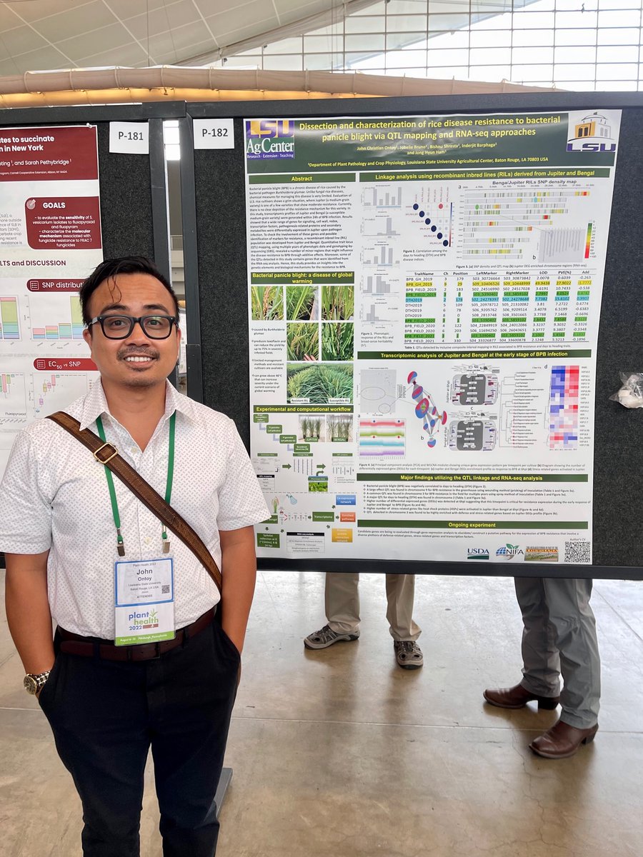 LSU Phytobacteriology Lab tweet media