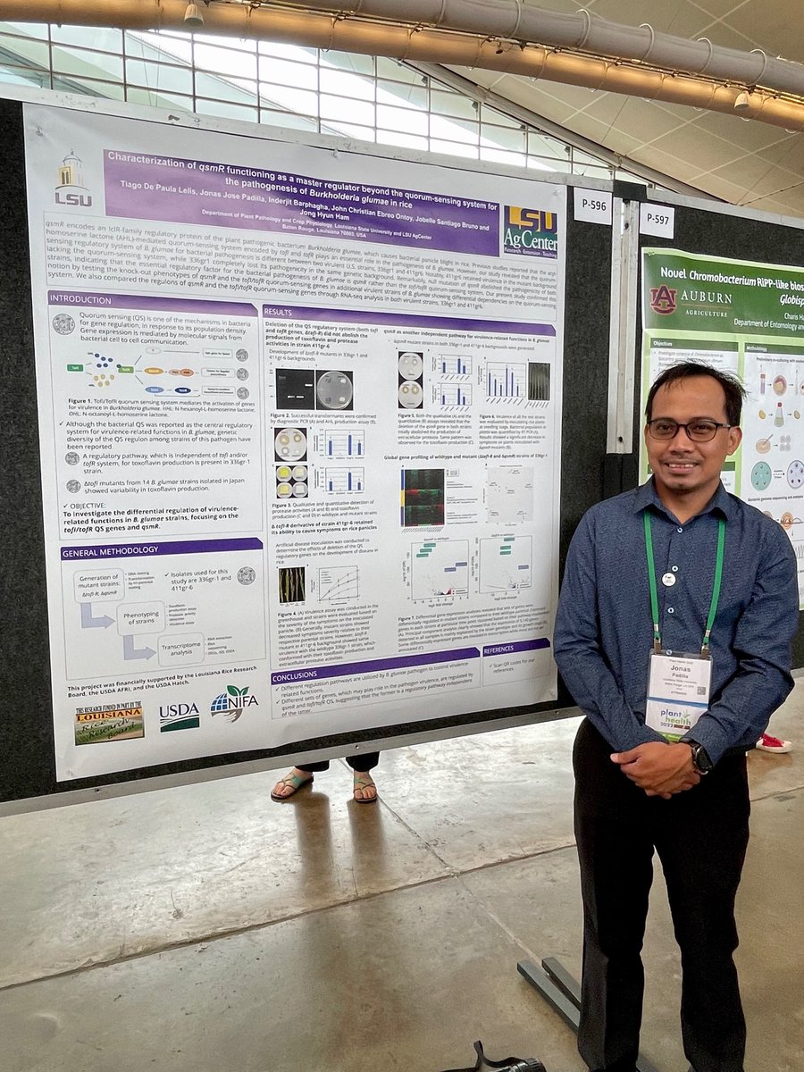 LSU Phytobacteriology Lab tweet media