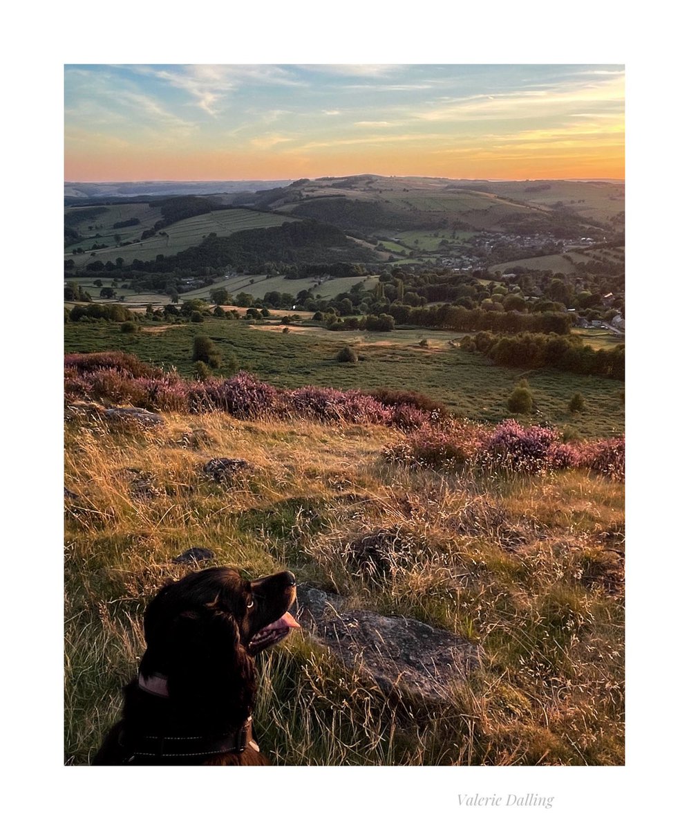 I’m not the only one who enjoys a good sunset…
#PeakDistrict #iPhone #walkingthedog