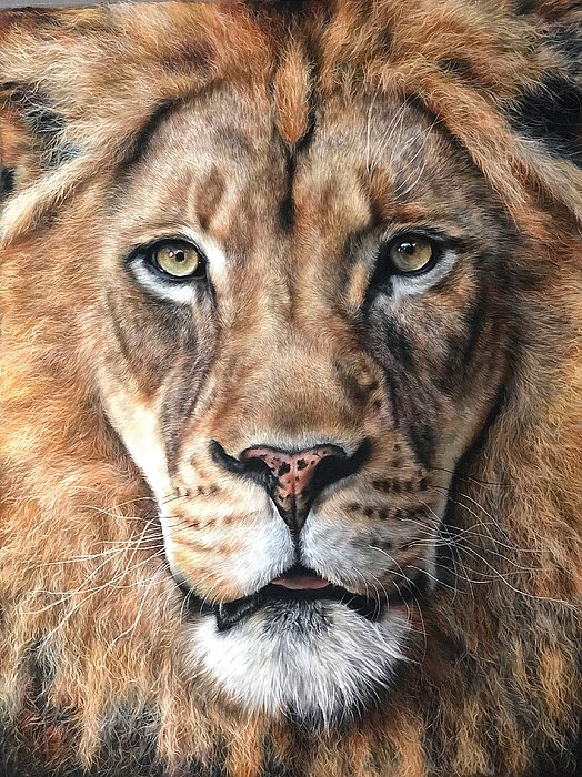 AsfourHanna's tweet photo. New artwork for sale! - "The King" - https://t.co/StfEfwvto1 @fineartamerica https://t.co/LyWilwR4qE