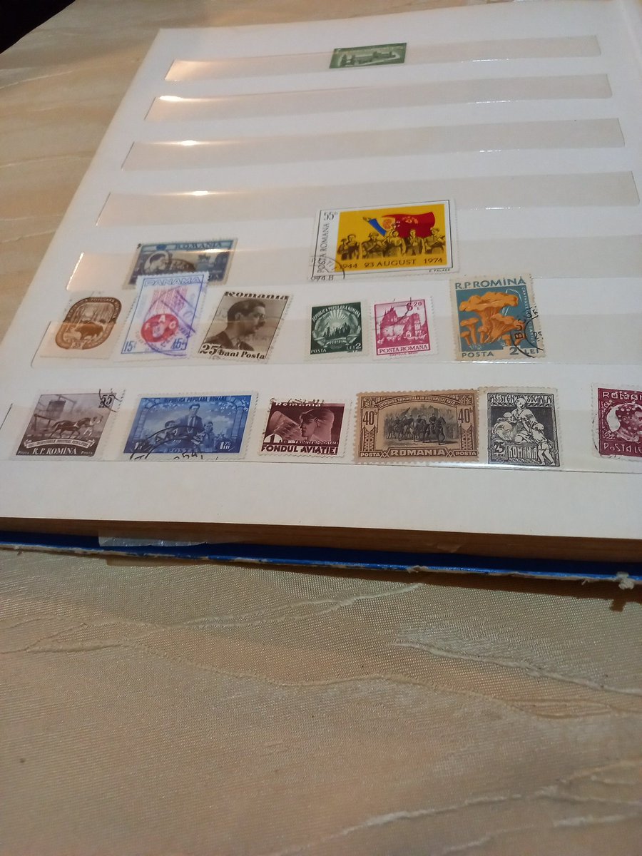 הבולאי הגרוש tweet media