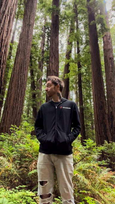 Greetings from Endor! #starwars #redwoods https://t.co/q9iSWVxp4g<a href="/tag/starwars"class="tags">#starwars</a><a href="/tag/redwoods"class="tags">#redwoods</a>