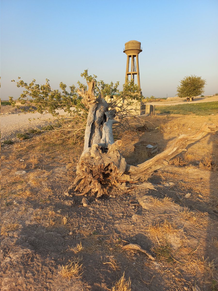 Yaşamak için;
Bir umudu olmalı her canlının..