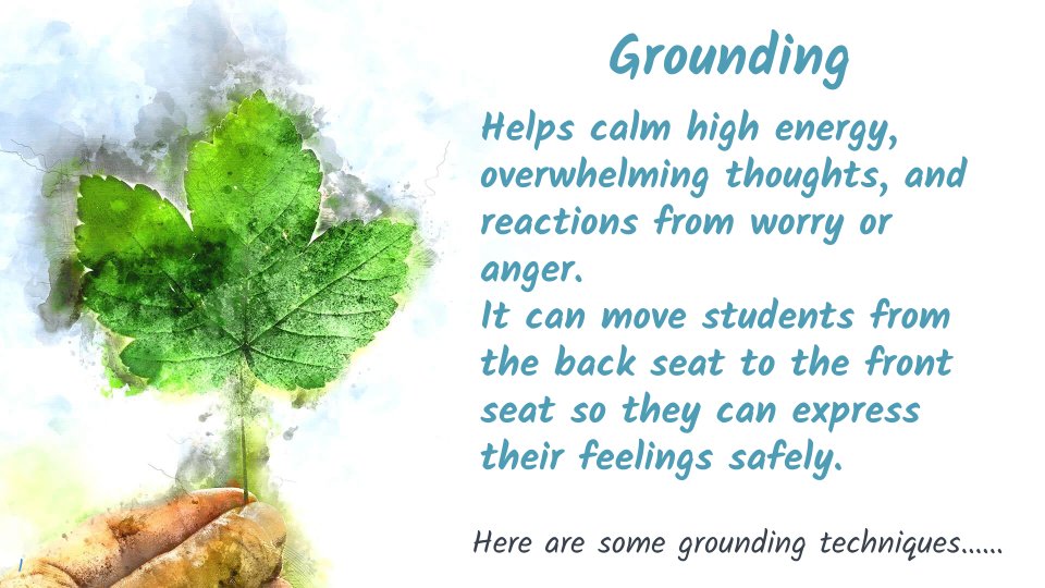 Brookside Charter tweet media