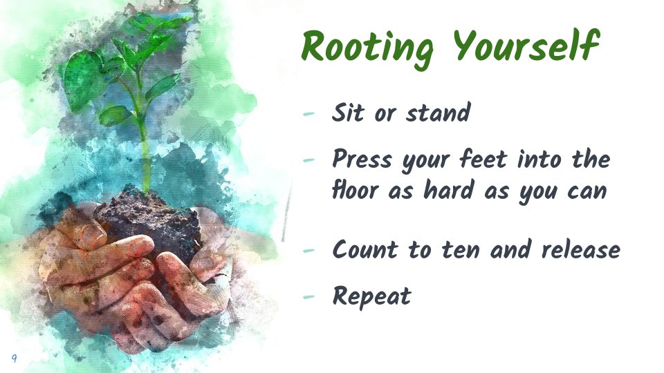 Brookside Charter tweet media