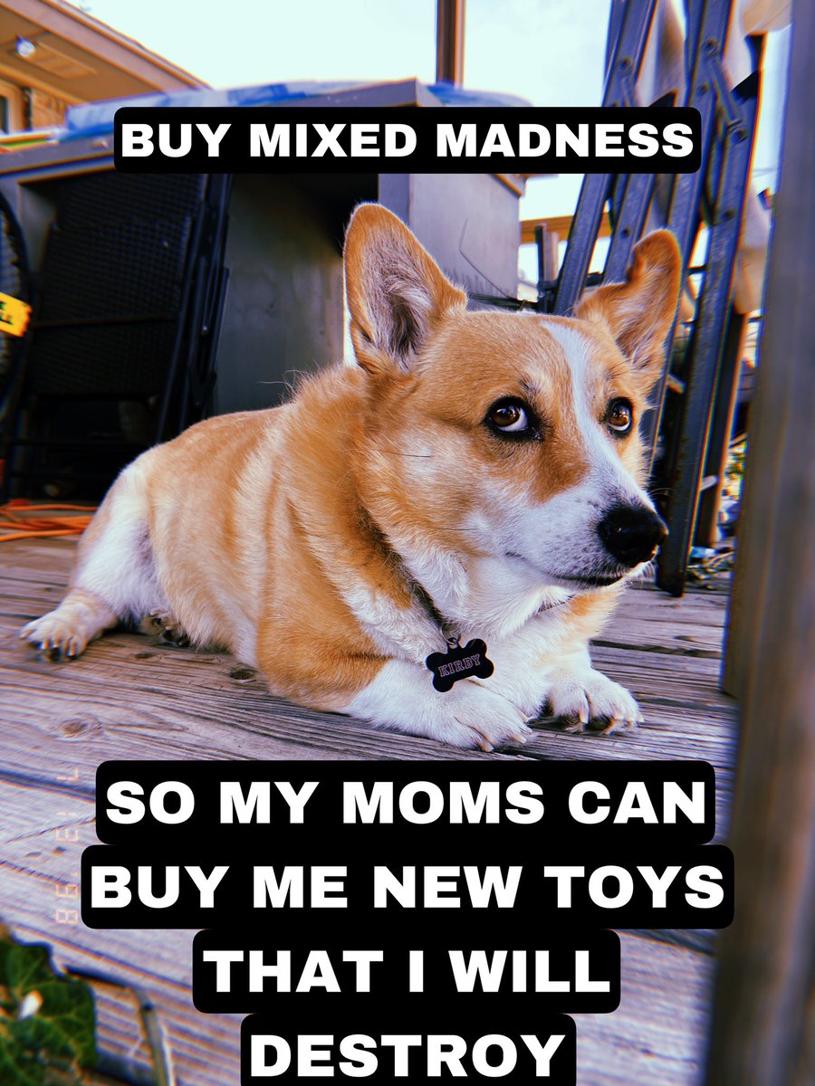 MixedMadnessOK's tweet photo. thibs iz Kibiey , if u leik mi moms shiz u can help bui me treets and toys i WOnT BRAKE ( i wil butt don’t tel momz ) https://t.co/ol5gAF6sbP