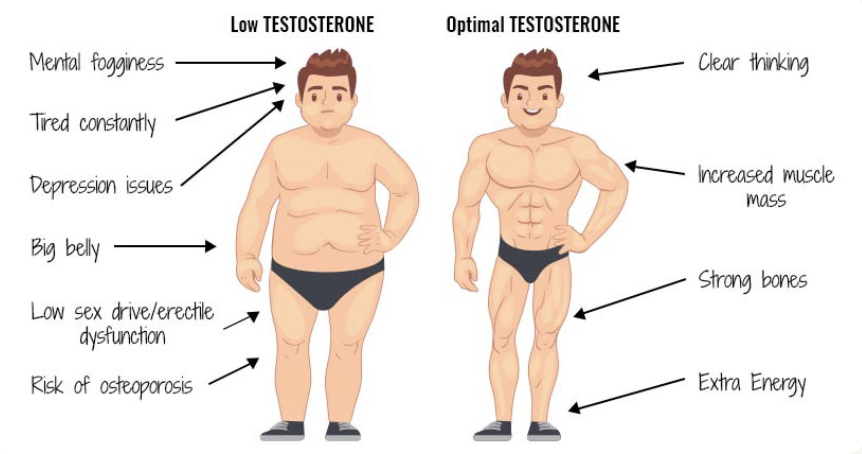 Over 39% of men over 45 suffer from low testosterone. 

Implement these 11 tips to avoid being one o...