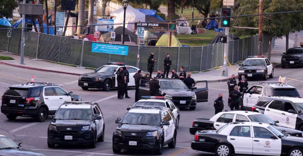 Laura Pitter tweet media