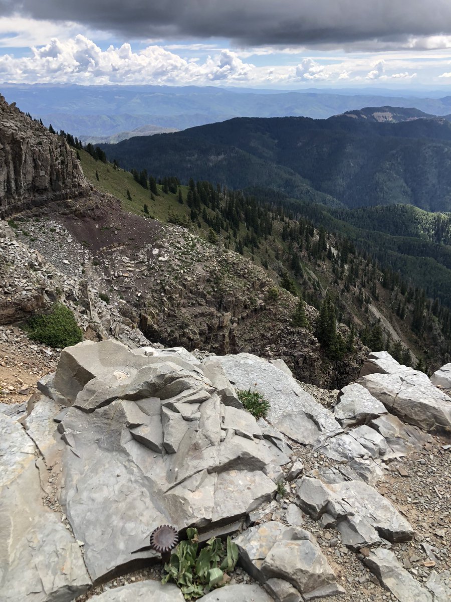 BigTwig01's tweet photo. Weekend views on my mountain bike https://t.co/gNSae9bwFH