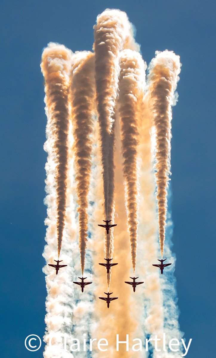 Claire Hartley tweet media