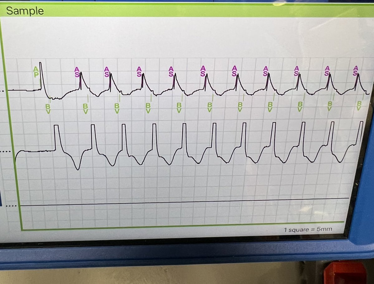 Mike Manogue tweet media