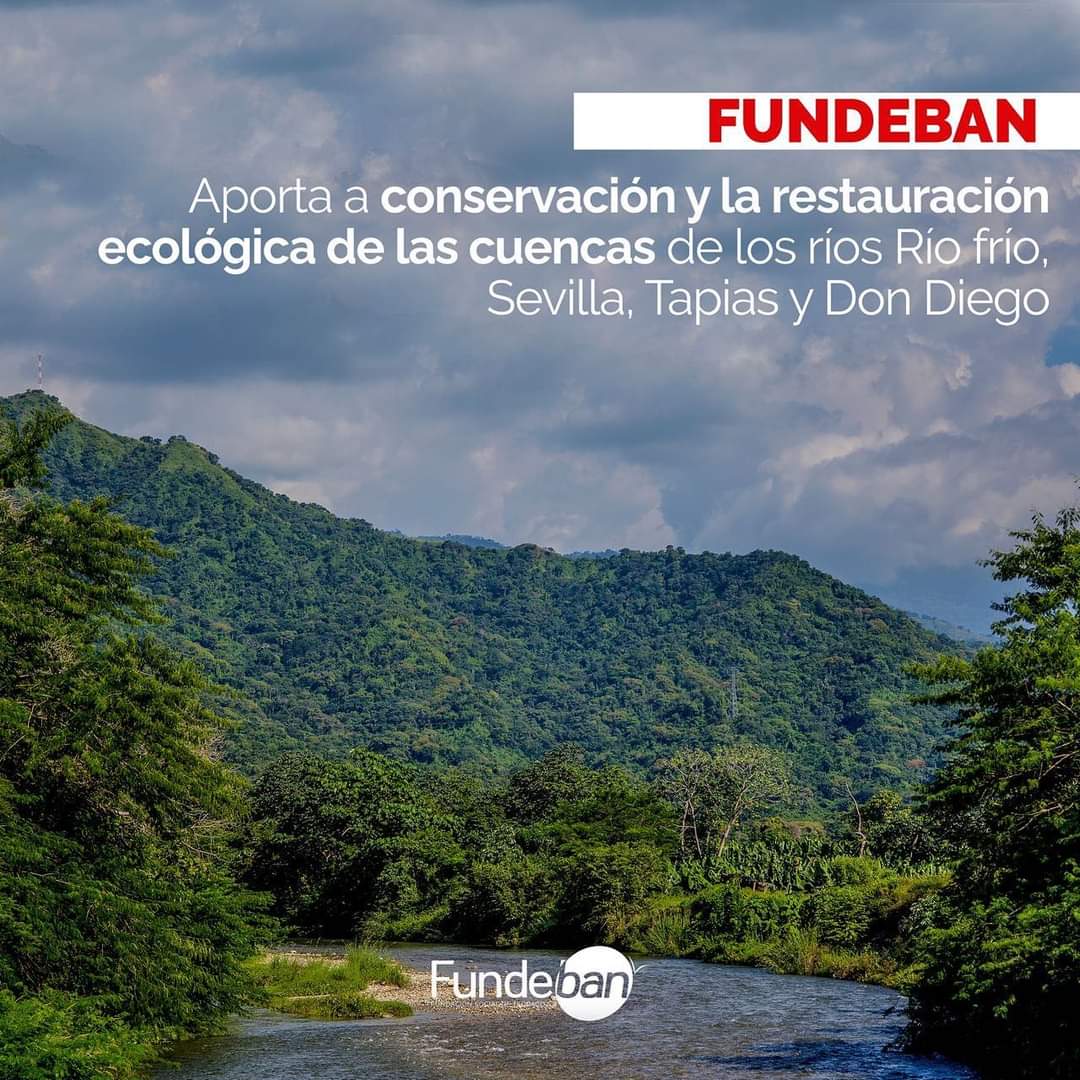 Fundebancomuni1's tweet photo. Nuestro compromiso es con el medio ambiente y el cuidado de las Cuencas de los ríos Sevilla, Don Diego, Tapias y Río Frío. 

@fundeban sembrando semillas, cosechando bienestar 🍃

#conservación #siembra #arboles #plantar #ambiental #sembrar #zonabananera #Magdalena #Colombia https://t.co/W7LWoQxumz