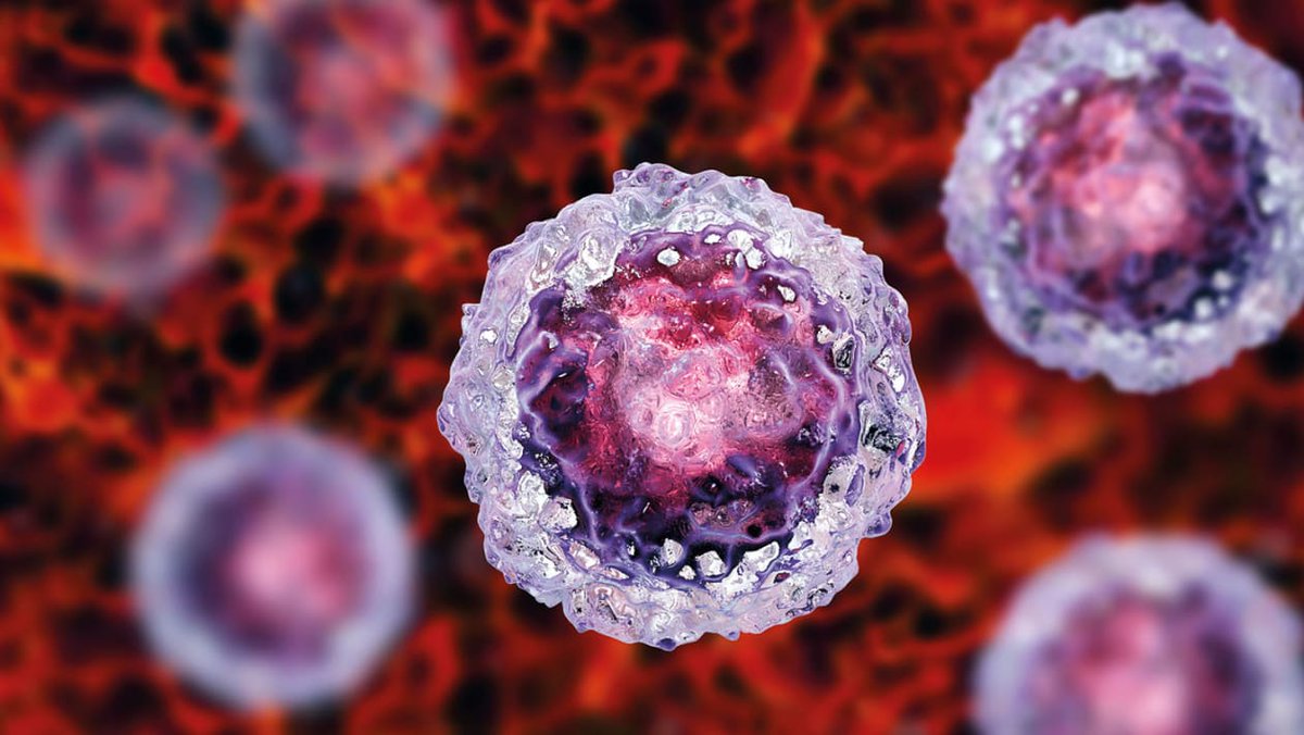 FPFabrizioPhD's tweet photo. Un recente studio pubblicato sulla rivista Science rivela una nuova via di comunicazione cellulare: l'acido ialuronico risveglierebbe le cellule staminali per avviare la riparazione muscolare. Come? Provo a spiegarvelo in questo thread. Seguitemi. 1/n 🧵 https://t.co/1I2vzOKuXw