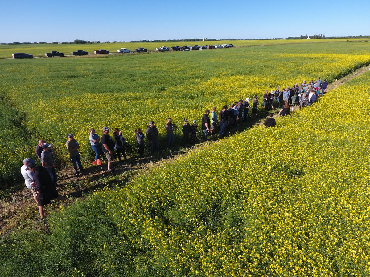 _StaySharpe's tweet photo. Seed varieties are where the potential starts… every single year! #IgnitethePotential 💥 refers to anything regarding seed &amp; seed care!  

THANK YOU for coming out to our #plottour 2022! SPECIAL THANKS to Kentel Farms &amp; His Green Acres!! #localresults https://t.co/2VU9u9E6SY