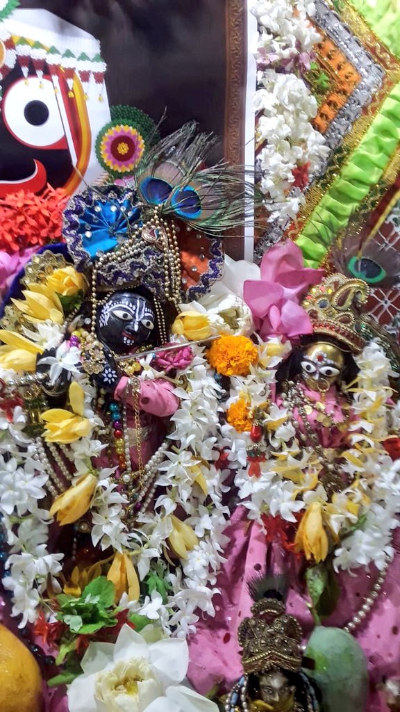 VAdkri's tweet photo. ଗୁପ୍ତ ବୃନ୍ଦାବନେ ମାଳତୀ ଝୁଲଣ
ତୃତୀୟ ସନ୍ଧ୍ୟା
#Parala
#JhulanaJatra2022 https://t.co/RNW6E53VG8