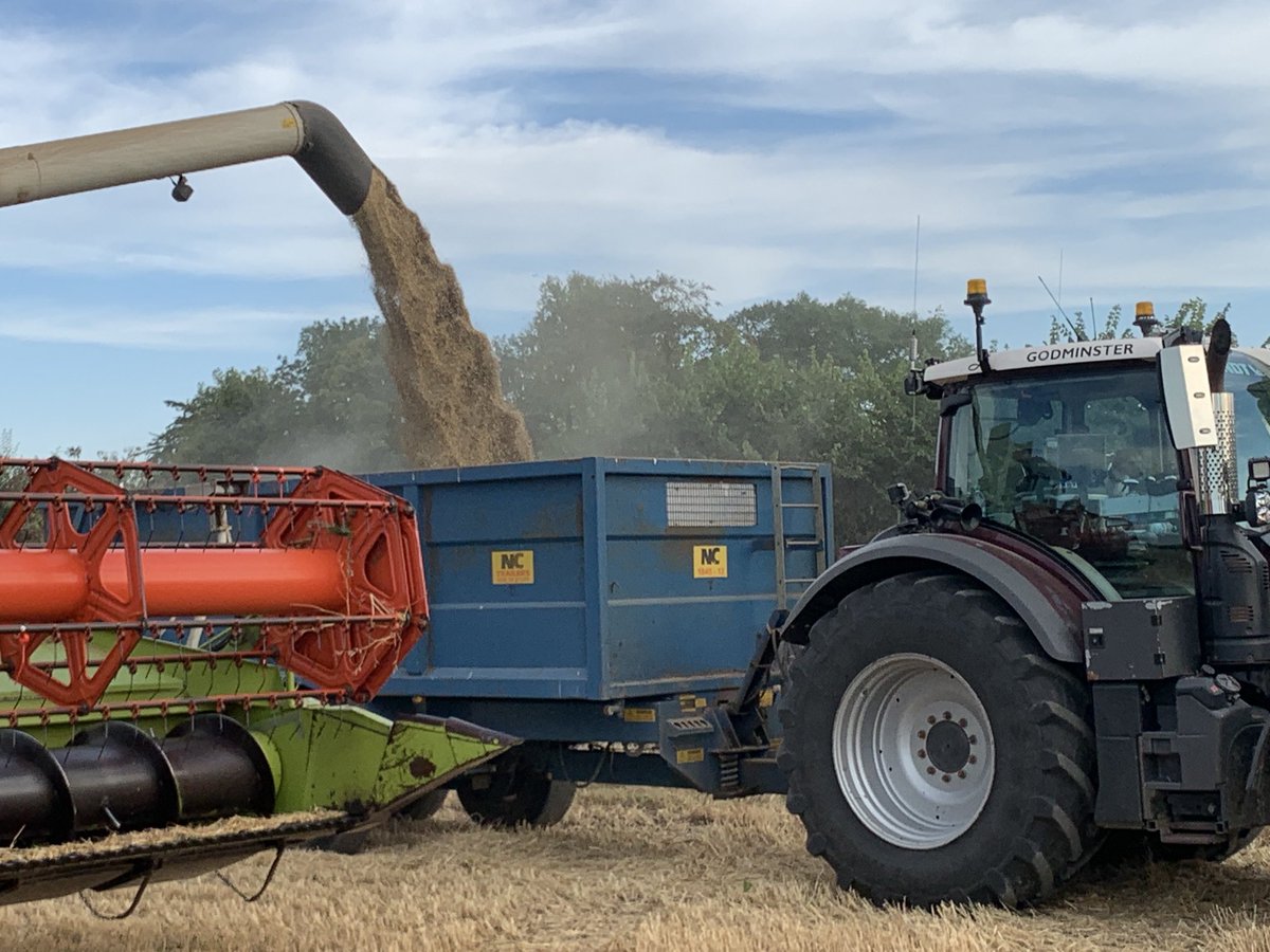 That’s a wrap #harvest22
#organic