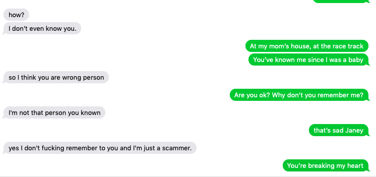 recently discovered you can push text scammers to their breaking point simply by playing along with the scam