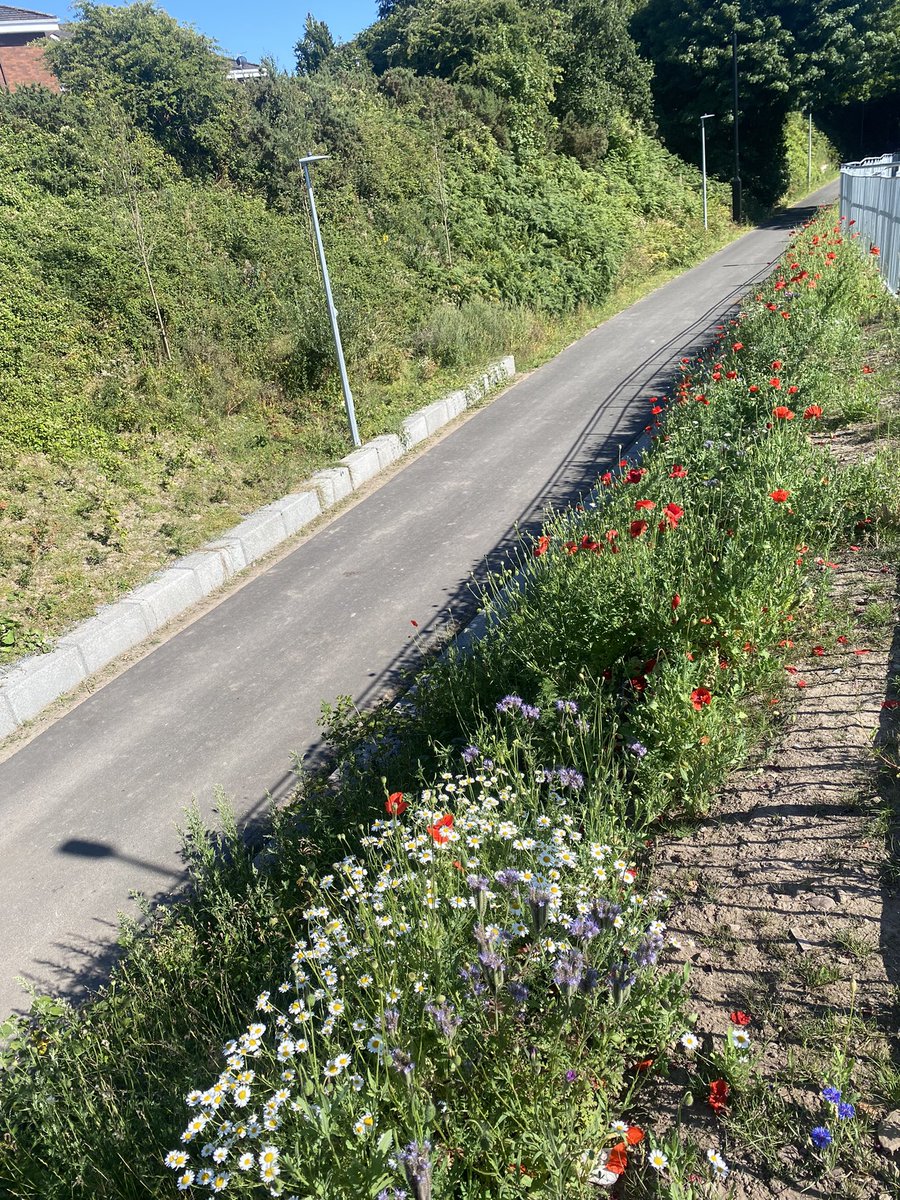 EBikeFan's tweet photo. Cycled from the city to Crosshaven and back today. The difference in safety and enjoyment between off-road and on-road sections is phenomenal. Can’t wait for the delivery of the Lee to Sea Greenway #lee2sea #Cork #RoadSafety #ebike https://t.co/ObmxM5ugXc