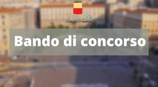 OpenNapoli's tweet photo. Bando > Concorso Pubblico per Reclutamento per circa 1.400 persone tra diplomati e laureati!
https://t.co/cKGSibi6zp
@ComuneNapoli #BandoAgosto #ComuneNapoli
@GaeManfredi @napolicittametr https://t.co/7AYPnP2AfR