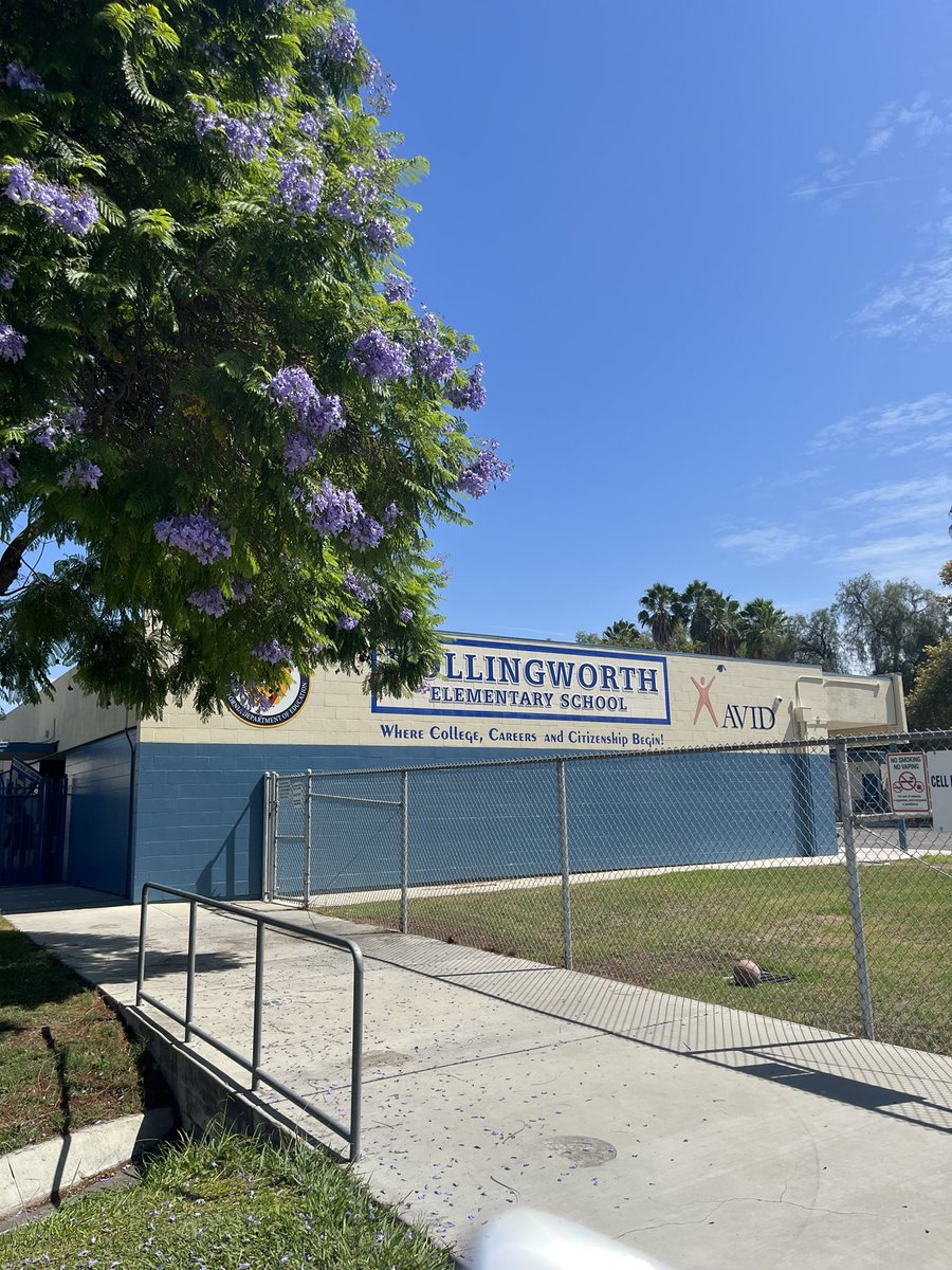 Hollingworth Hawks enjoying a beautiful summer day at school! They are surrounded daily by colorful plants and lush, green trees!