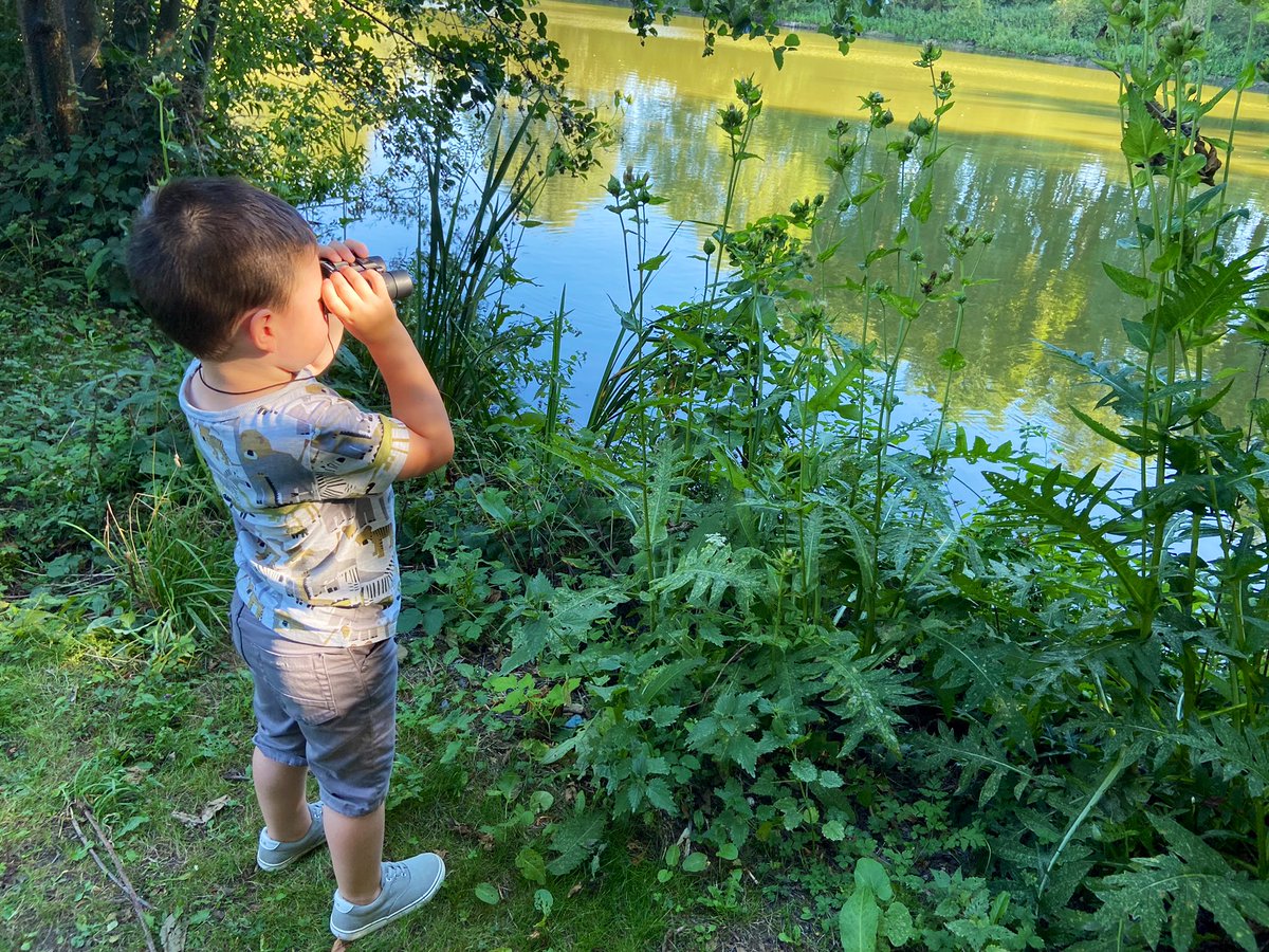 e_dewever's tweet image. Paul 2 ans et demi…
A l’abri de chaleur, petites observations au Marais Philippe Rapeneau de #Fampoux site géré par le @CENHDF #nature #environnement