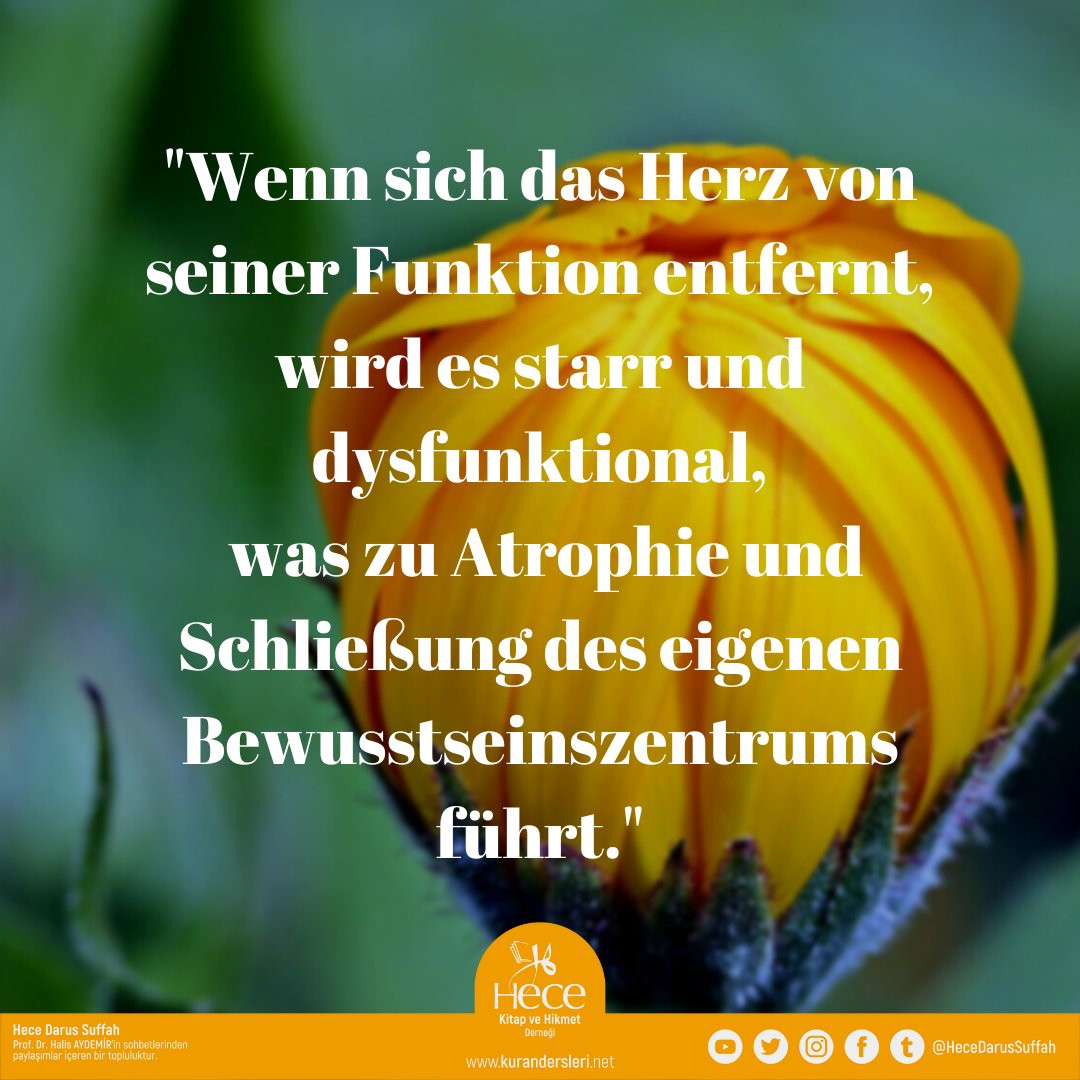 Hejesuffah's tweet photo. "Wenn sich das Herz von seiner Funktion entfernt, wird es starr und dysfunktional, was zu Atrophie und Schließung des eigenen Bewusstseinszentrums führt."
Auszug von hier
https://t.co/6IgtmbnRF7
#Glauben #Tauheed #Rechtleitung https://t.co/wgdtLTlwTi
