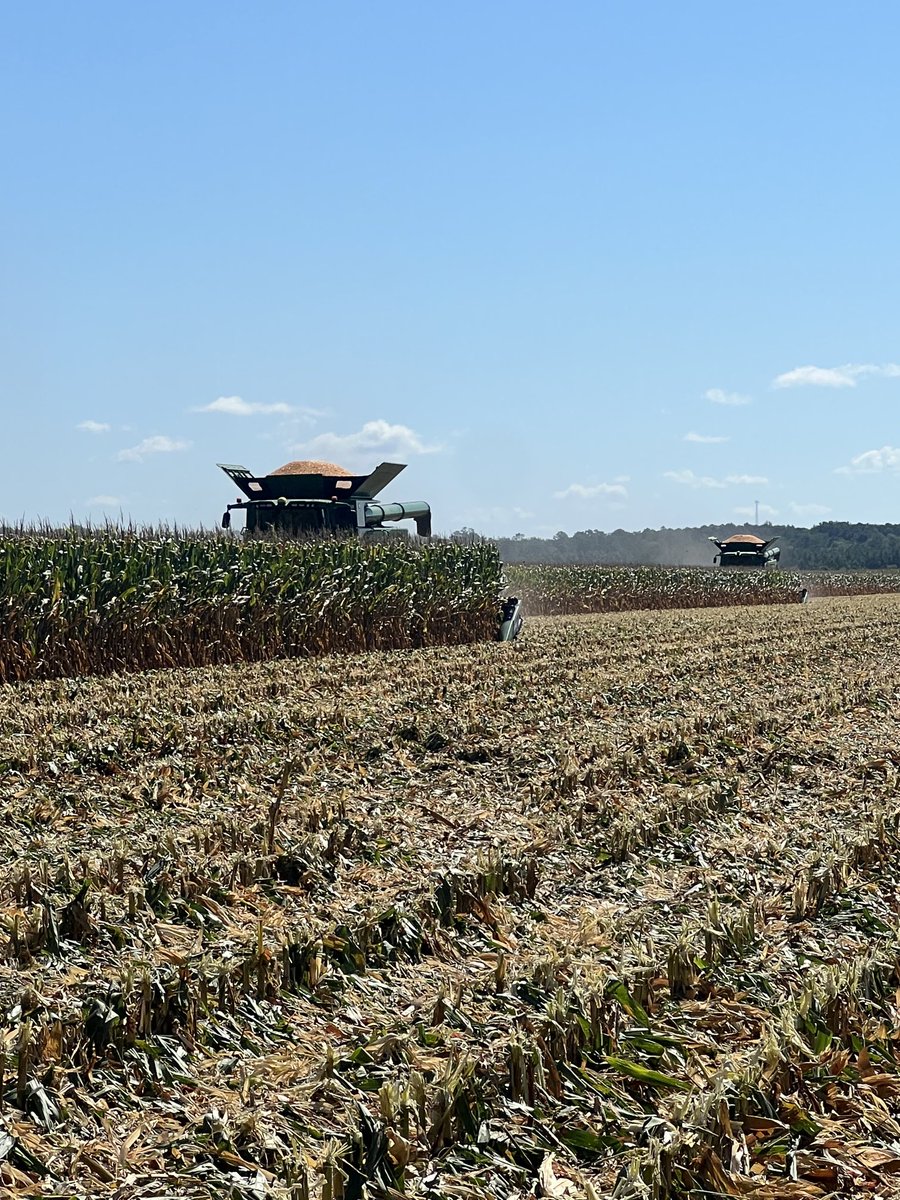 Todd Boyd tweet media