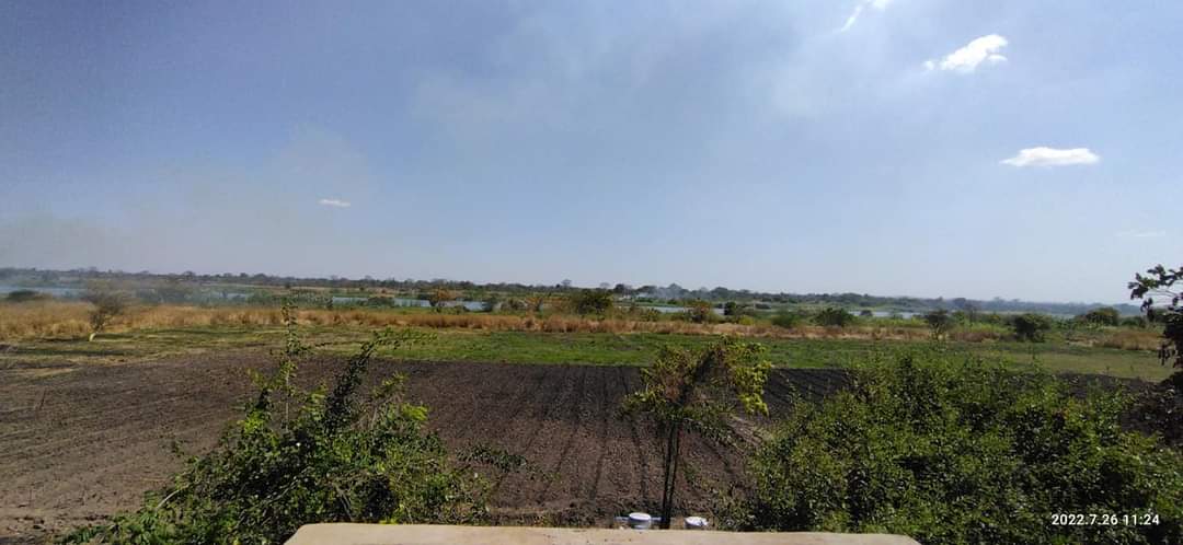 Central Farming Solutions 🇲🇼 tweet media