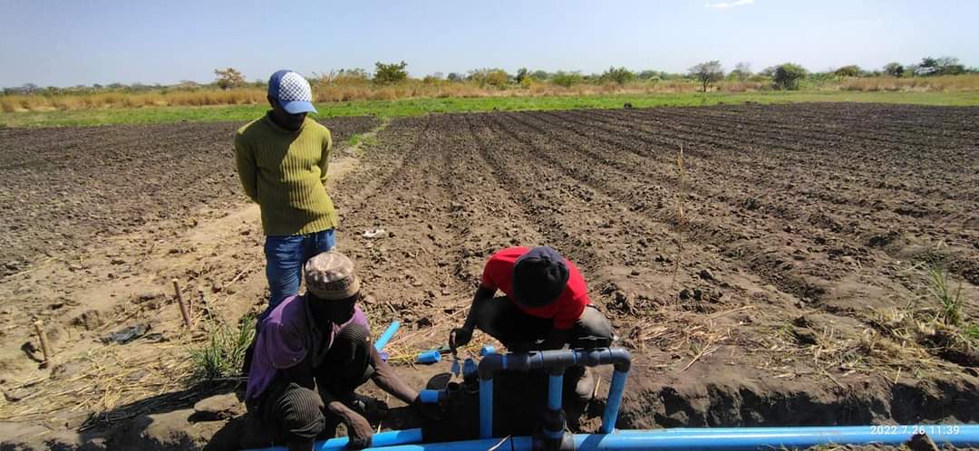 Central Farming Solutions 🇲🇼 tweet media