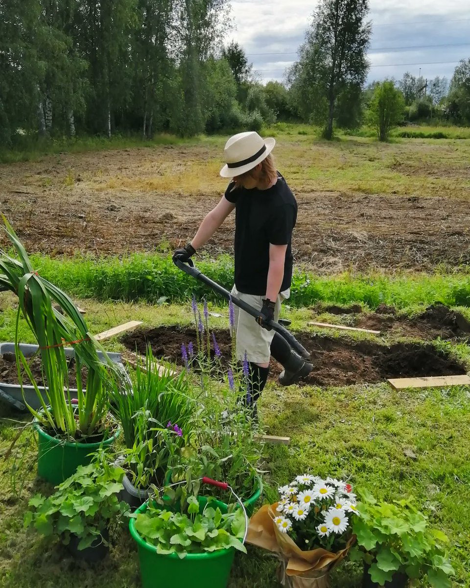 ThereseHenriks's tweet photo. Lillebror gräver rabatt i födelsedagspresent present till storasyster. 🎁 🍃☀️🌸
#norrbotten #trädgård https://t.co/R5WsfGp4sY
