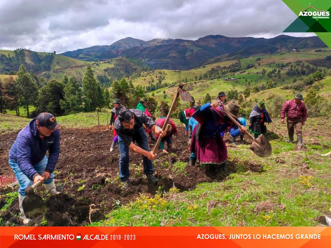 MAzogues's tweet photo. !Trabajo en territorio!👍
➡️Visitamos la comunidad de Queseras - Pindilíg, entregamos plántulas, a través de @Acción Social  y participamos de minga comunitaria.
🤝El compromiso de nuestro Alcalde, seguir ejecutando obras.
#UnidosSomosMás
#AzoguesJuntosLoHacemosGrande https://t.co/Ila9H9mTaM