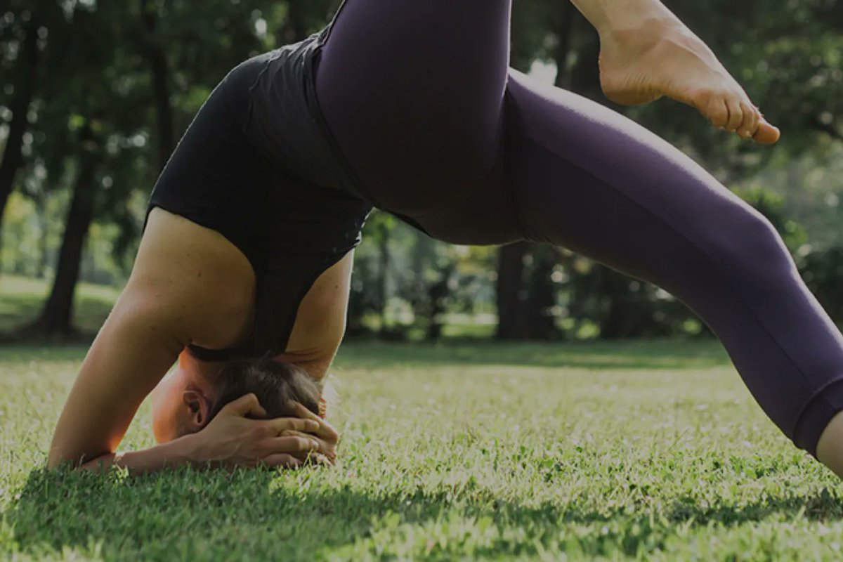 Wellth Collective tweet media