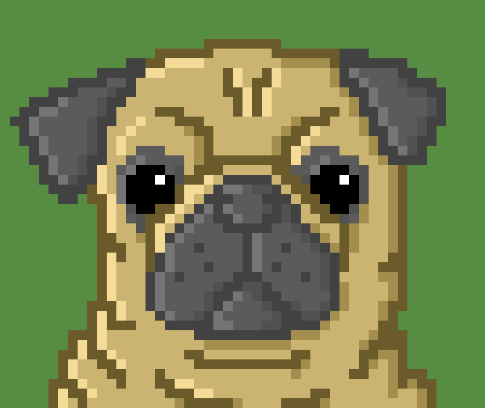 SupportPugClub tweet picture