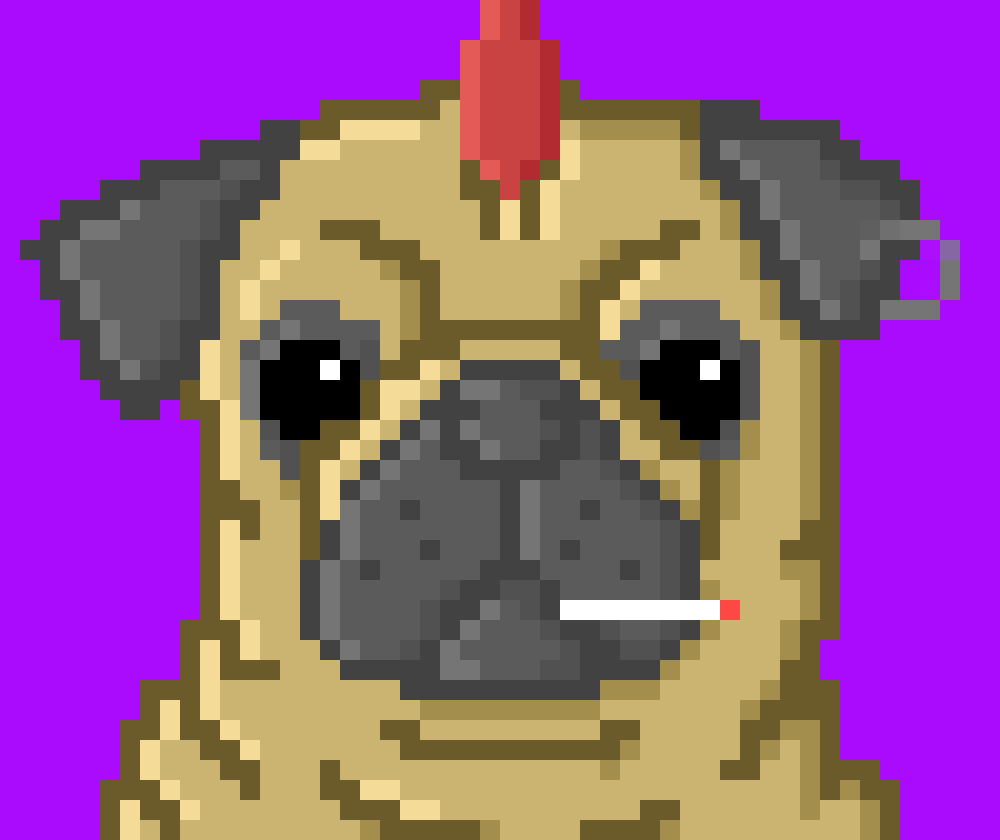 SupportPugClub tweet picture