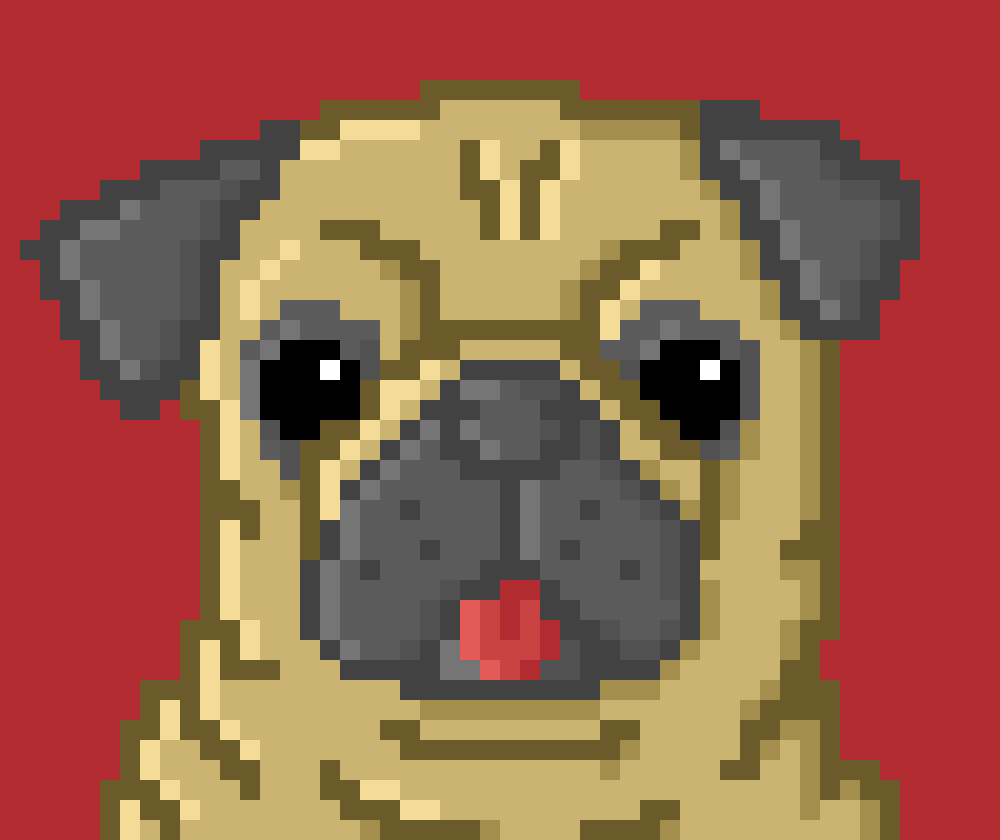 SupportPugClub tweet picture