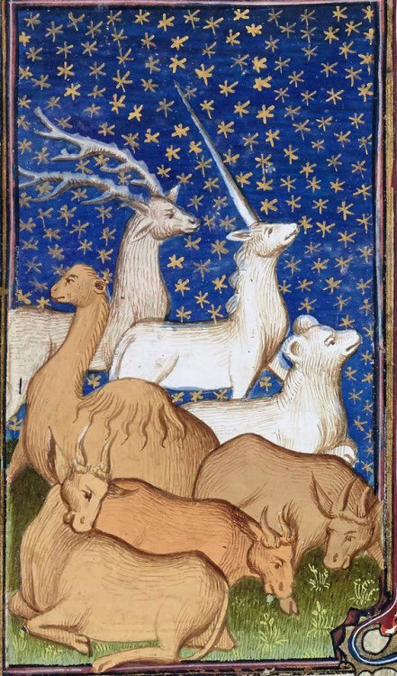 WeirdMedieval's tweet photo. animals watching the stars, france, 15th century https://t.co/Me5PkEgc0u
