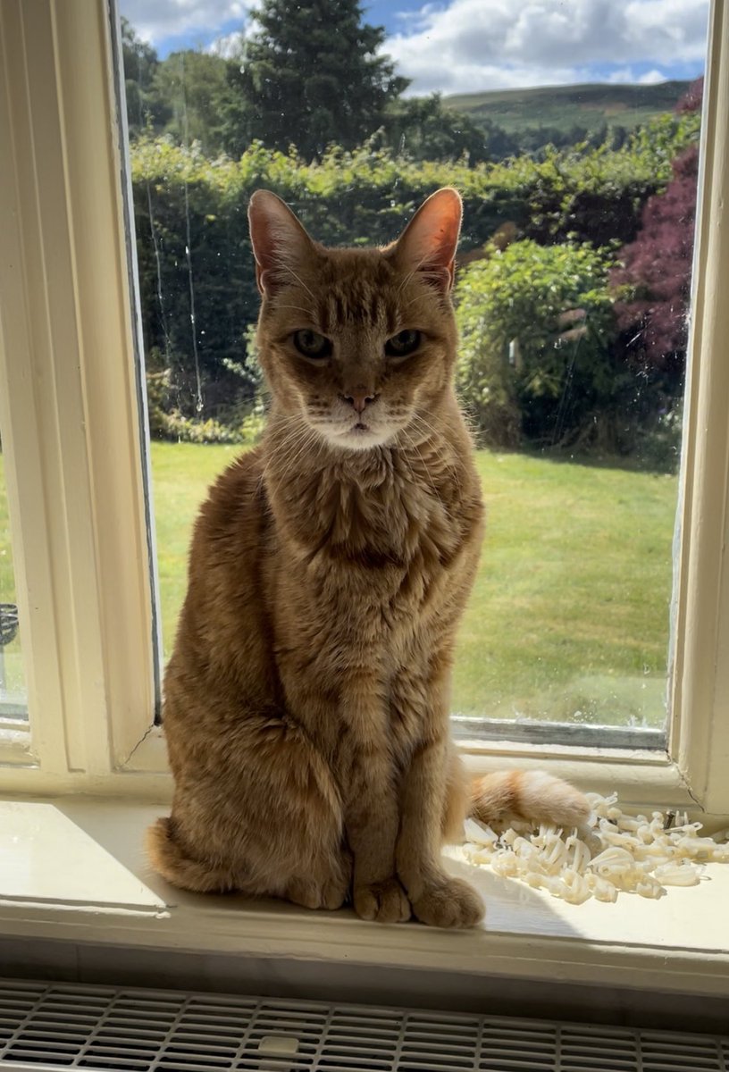 Simon King tweet media