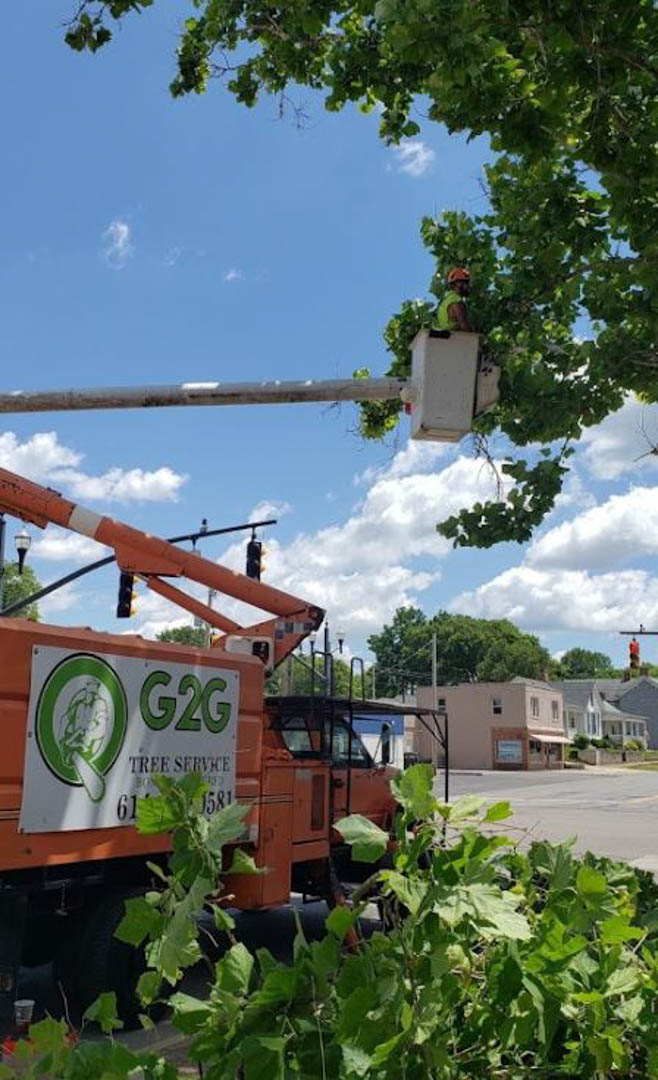 G2GTreeService's tweet image. G2G Tree Service LLC is a Tree Care Services Company in Circleville,OH. We are your number one choice in the area for Tree Removal, Tree Trimming, and Stump Grinding services! #TreeService #TreeTrimming #TreeTakedown #StumpRemoval bit.ly/2ZaczNI