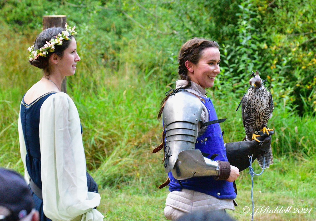 Hawks and falcons are as much a part of the tradition of chivalry as swords and armour. These magnificent birds represented the knight's responsibilities, not as a warrior, but as an honourable manager surrounded by strong, capable individuals who would not tolerate disrespect.