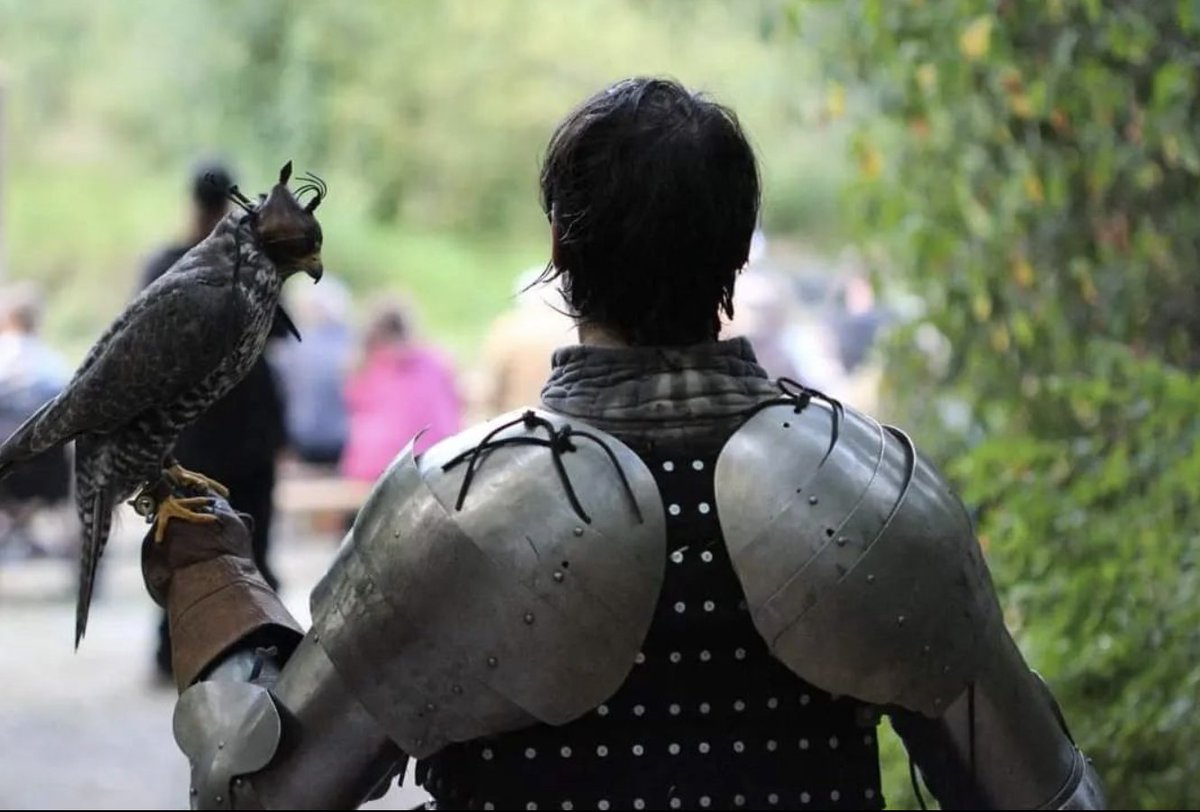Medieval Knights is coming up! Make sure you have tickets: the-raptors.com/events/medieva…