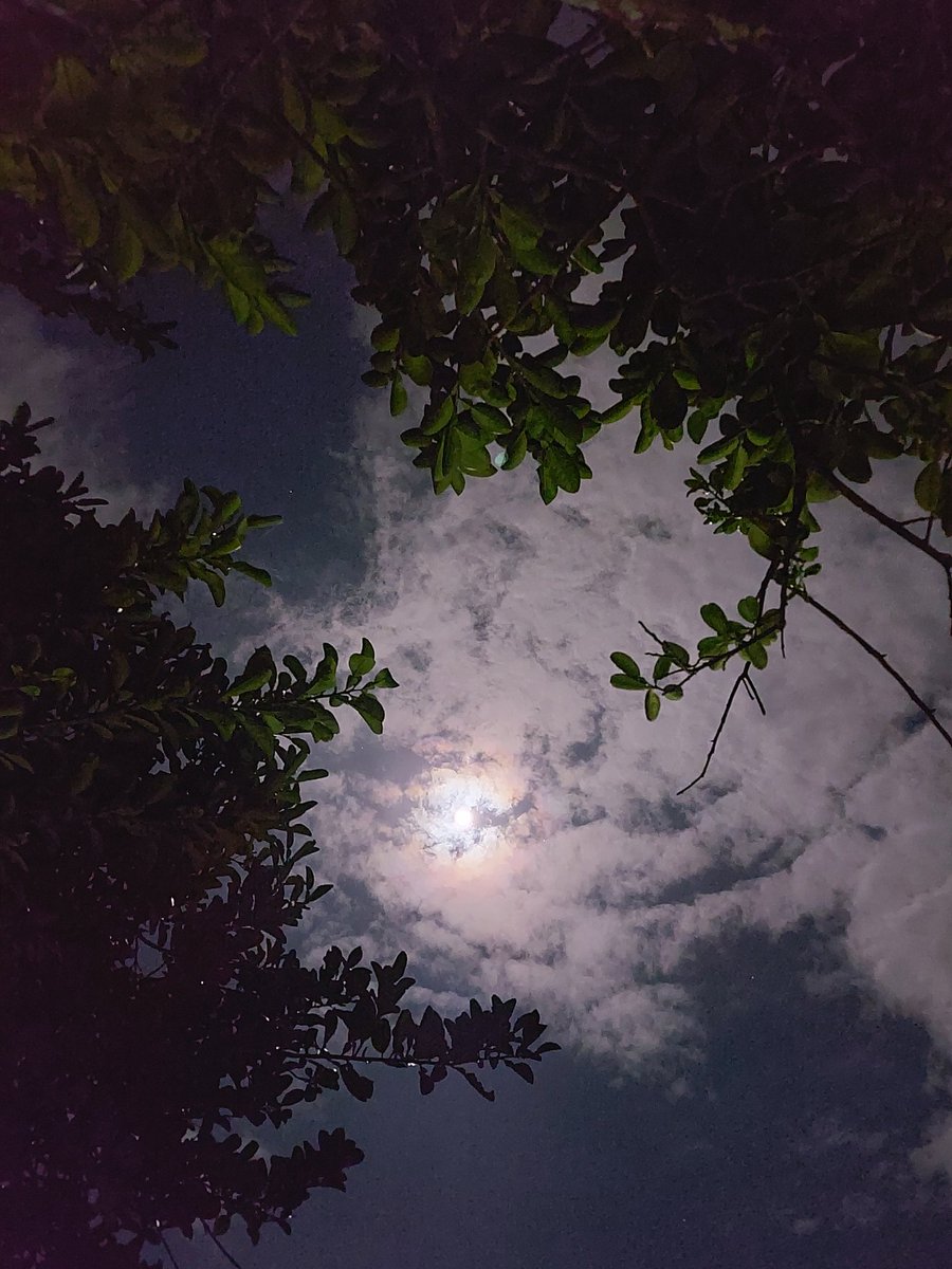 icecreamplss's tweet photo. acceptance, for every transition i find myself in. forgiveness, for all the things i cannot be. https://t.co/v4uFV3EqiO